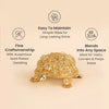 Rinmukteshwar Siddh Ashtalakshmi Tortoise Idol
