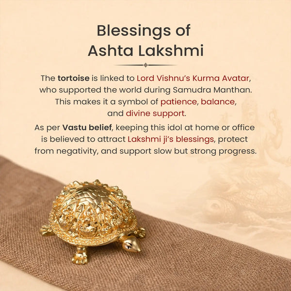 Rinmukteshwar Siddh Ashtalakshmi Tortoise Idol