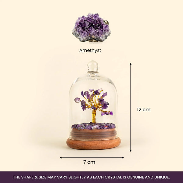 Amethyst Dome Tree